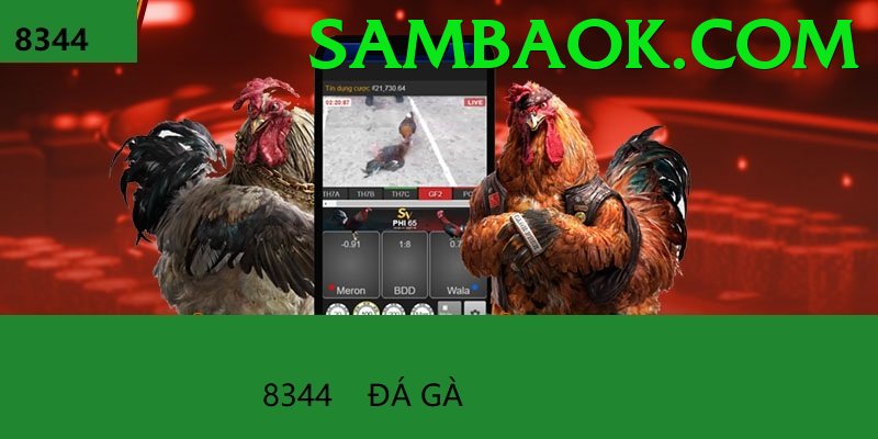 Đá Gà Trực Tiếp - Ưu đãi đặc biệt - Game Web3